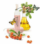 Nourishing Lip Balm with Sea Buckthorn Oil + Vitamin E - Belita Shop UK